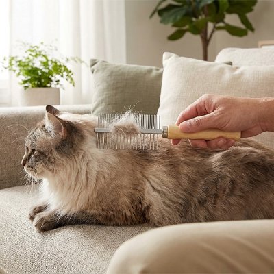 Peigne pour chat