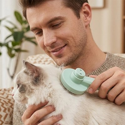 Brosse pour Chat