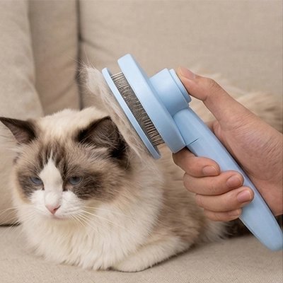 Brosse pour Chat