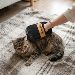 Gant de toilettage
