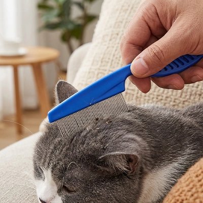 Peigne pour chat