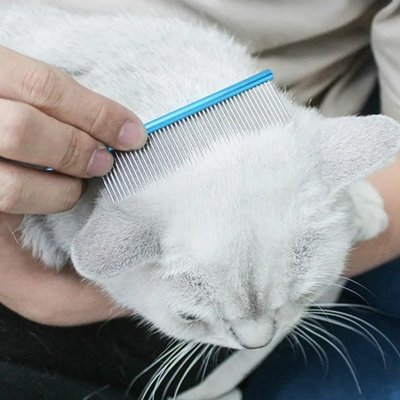 Peigne pour chat