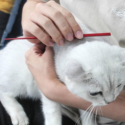 Peigne pour chat