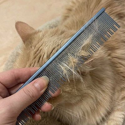 Peigne pour chat 