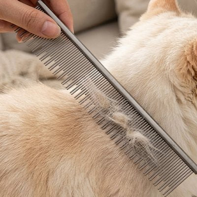 Peigne pour chat 